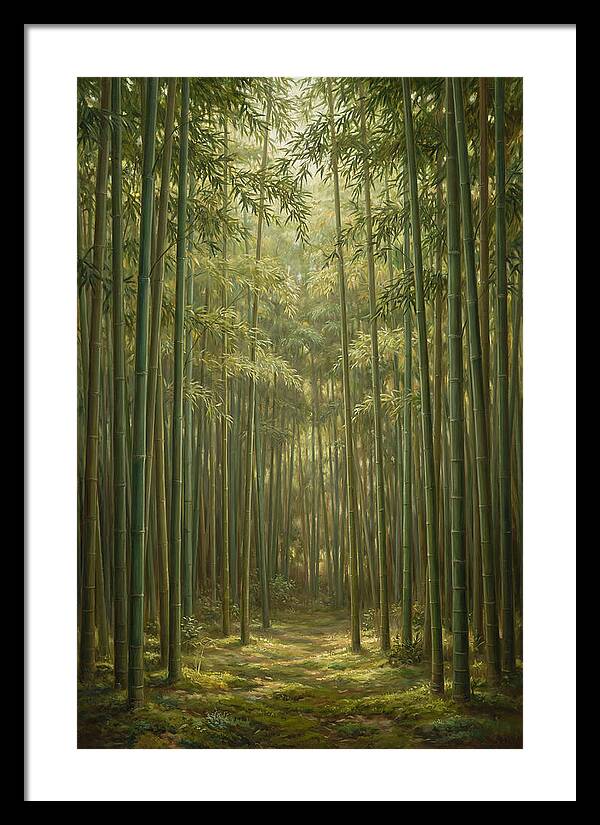 Tranquil Bamboo Grove