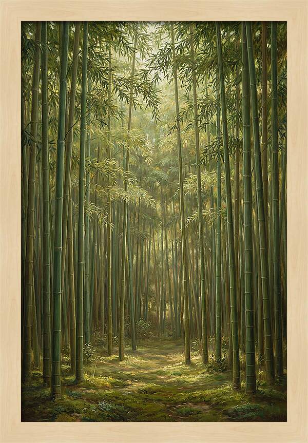 Tranquil Bamboo Grove