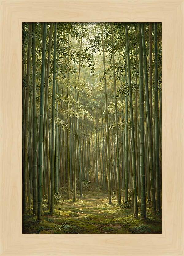 Tranquil Bamboo Grove