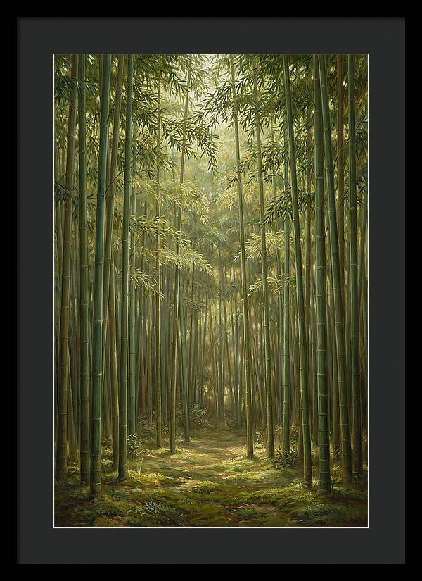 Tranquil Bamboo Grove