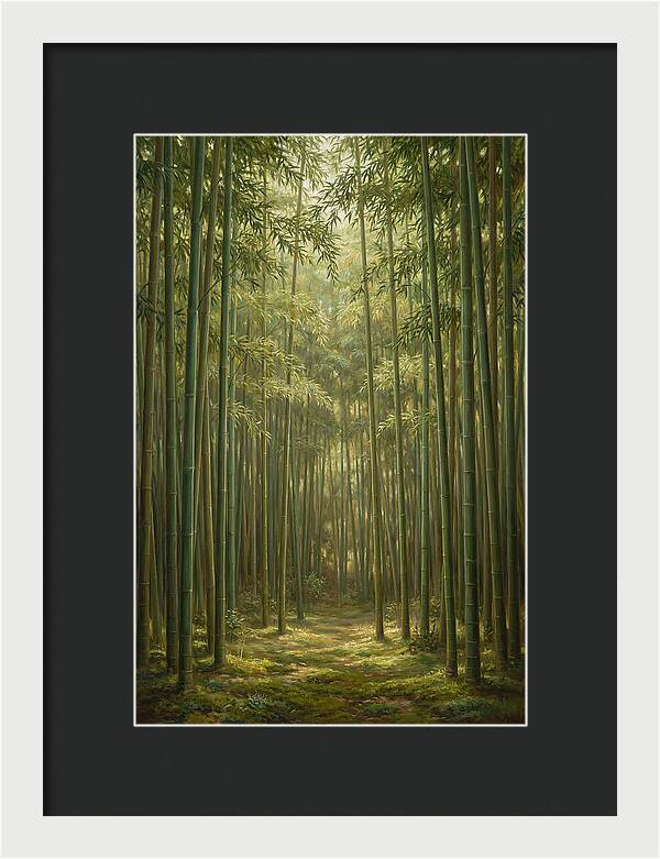 Tranquil Bamboo Grove