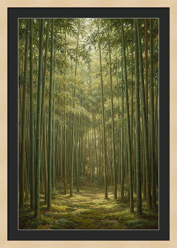 Tranquil Bamboo Grove