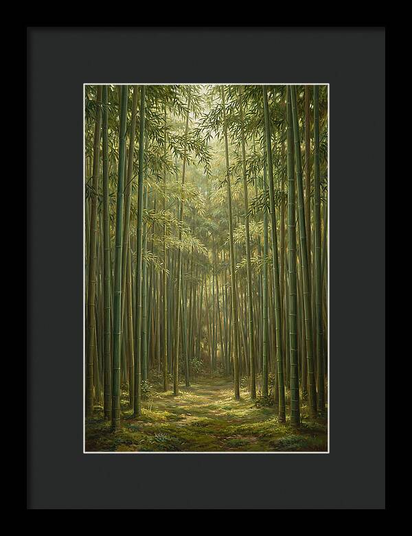 Tranquil Bamboo Grove