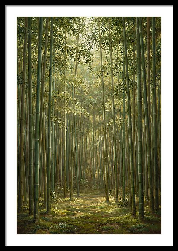 Tranquil Bamboo Grove