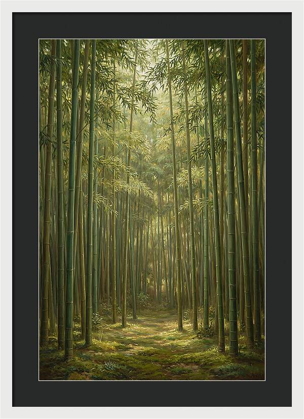 Tranquil Bamboo Grove
