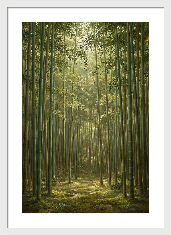 Tranquil Bamboo Grove