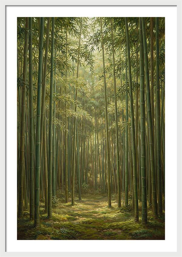 Tranquil Bamboo Grove