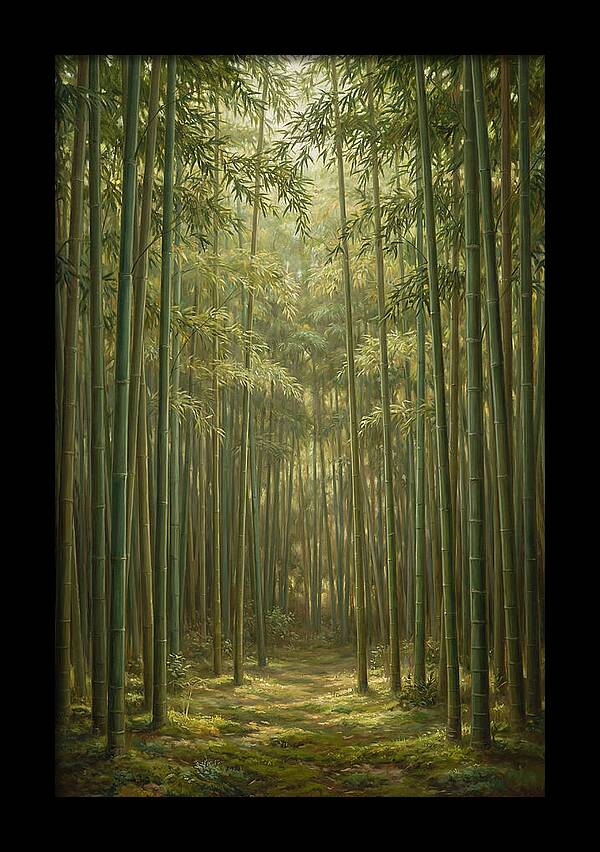 Tranquil Bamboo Grove