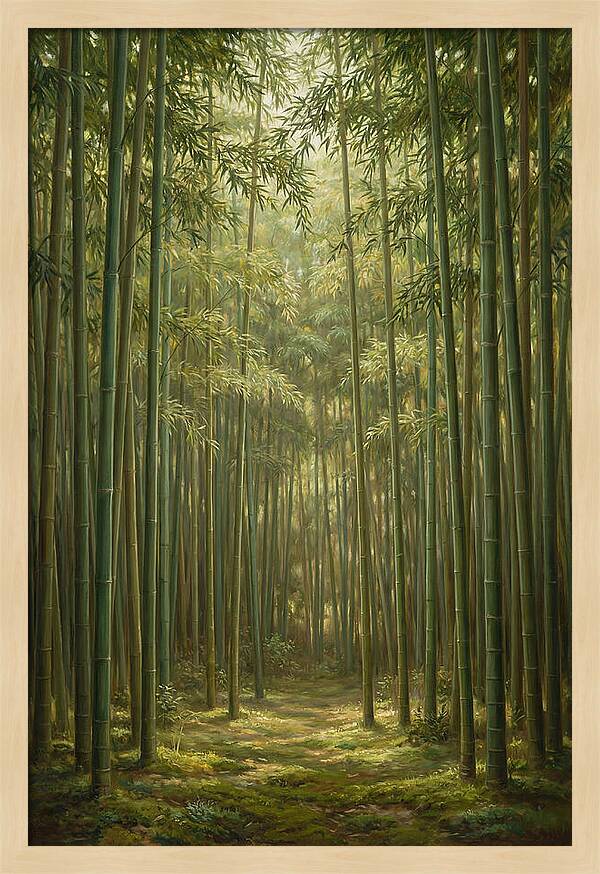 Tranquil Bamboo Grove