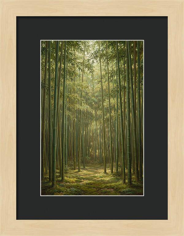 Tranquil Bamboo Grove