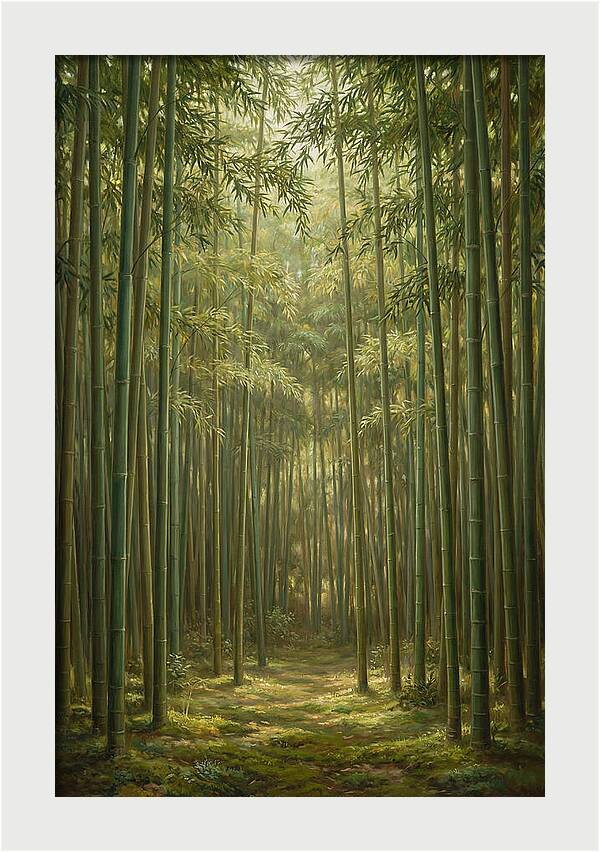 Tranquil Bamboo Grove