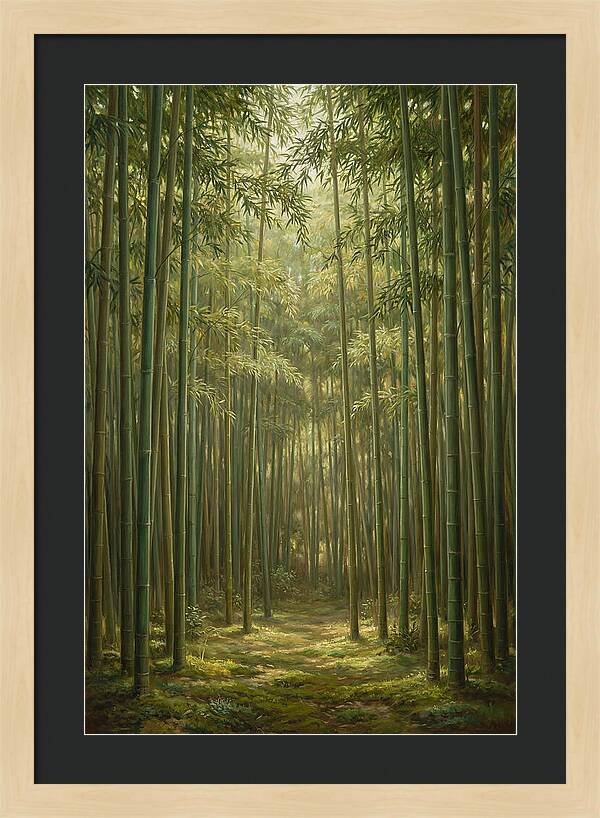 Tranquil Bamboo Grove