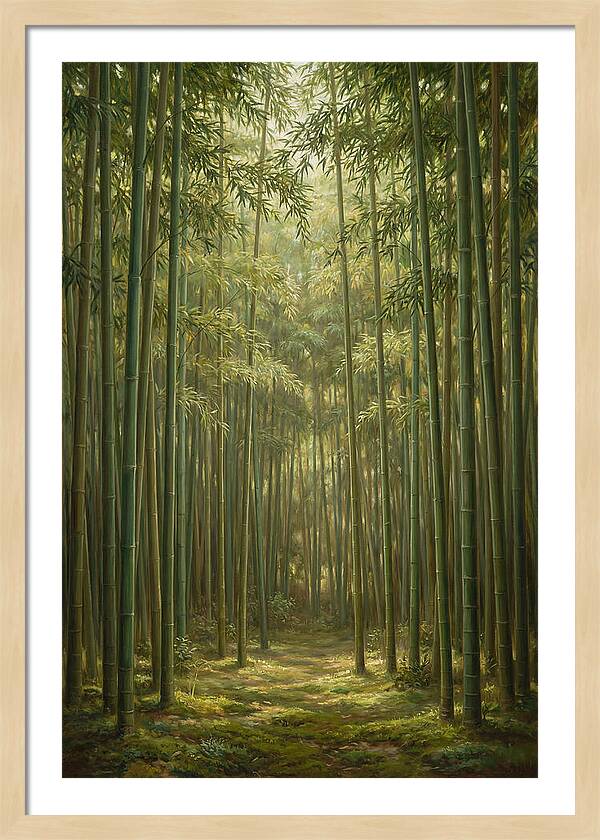 Tranquil Bamboo Grove