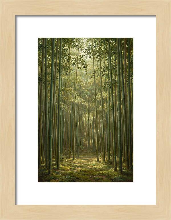 Tranquil Bamboo Grove