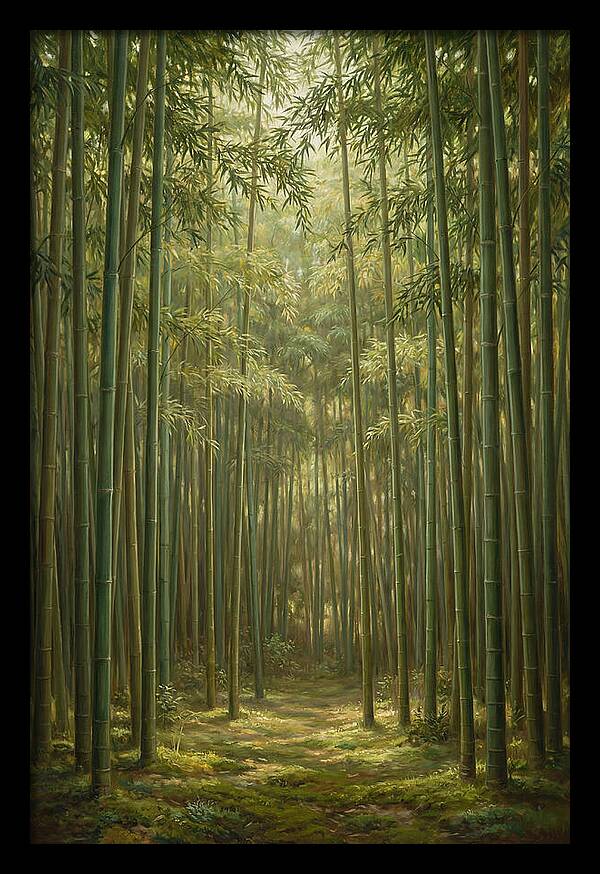 Tranquil Bamboo Grove