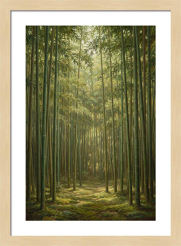 Tranquil Bamboo Grove