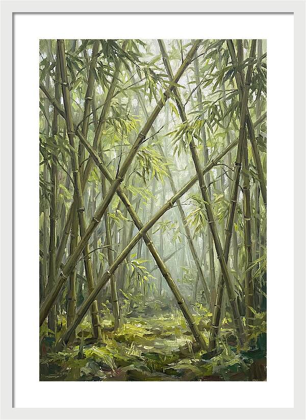 Tranquil Bamboo Retreat