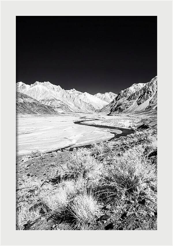 Tranquil Beauty Of Nubra Valley