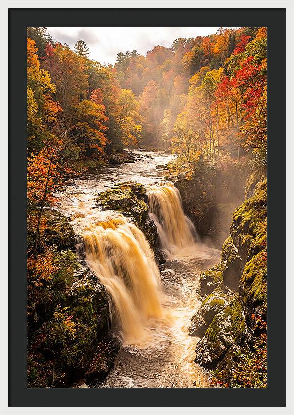 Tranquil Cascade Reflections