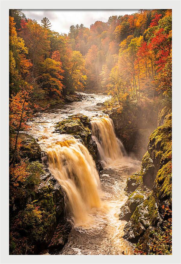 Tranquil Cascade Reflections