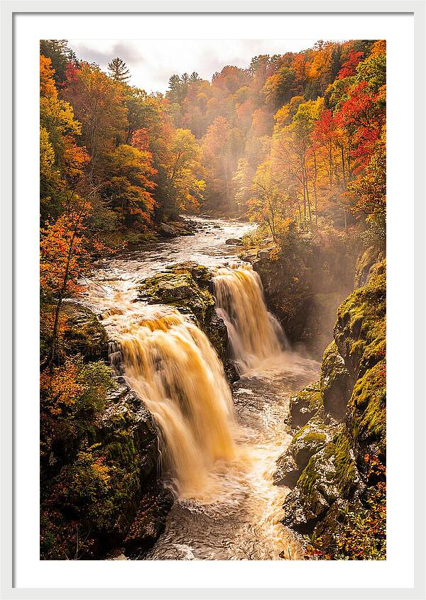 Tranquil Cascade Reflections