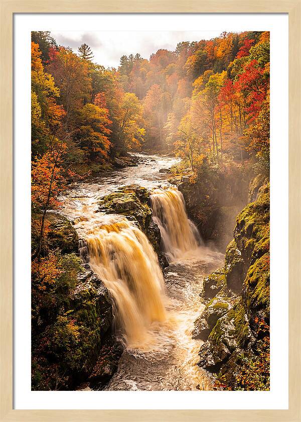 Tranquil Cascade Reflections