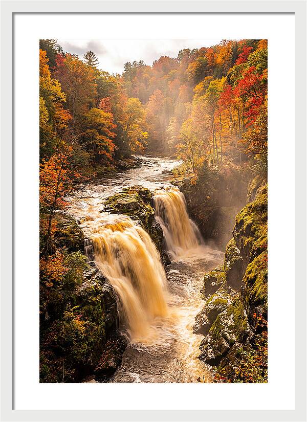 Tranquil Cascade Reflections