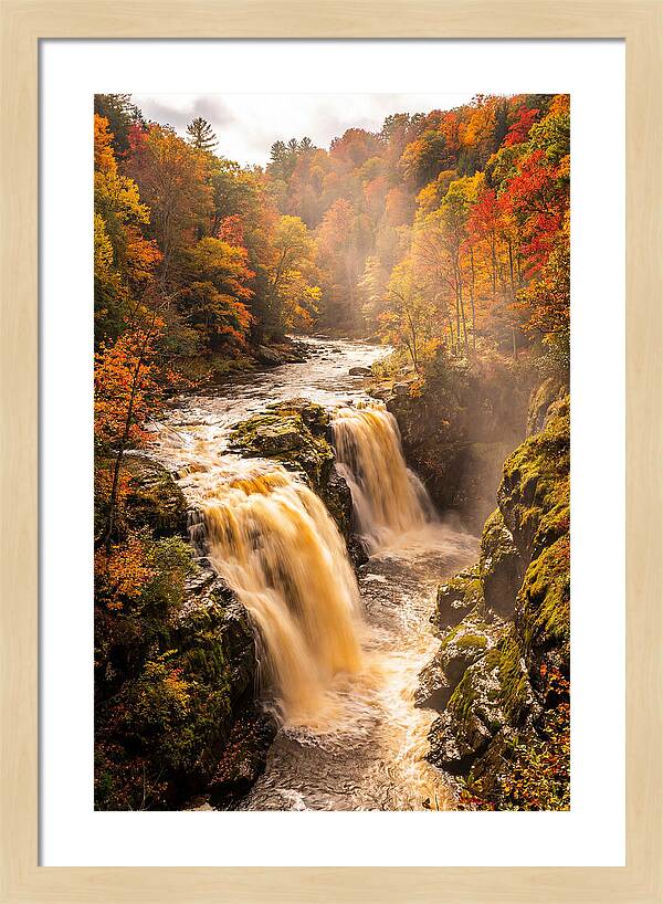 Tranquil Cascade Reflections