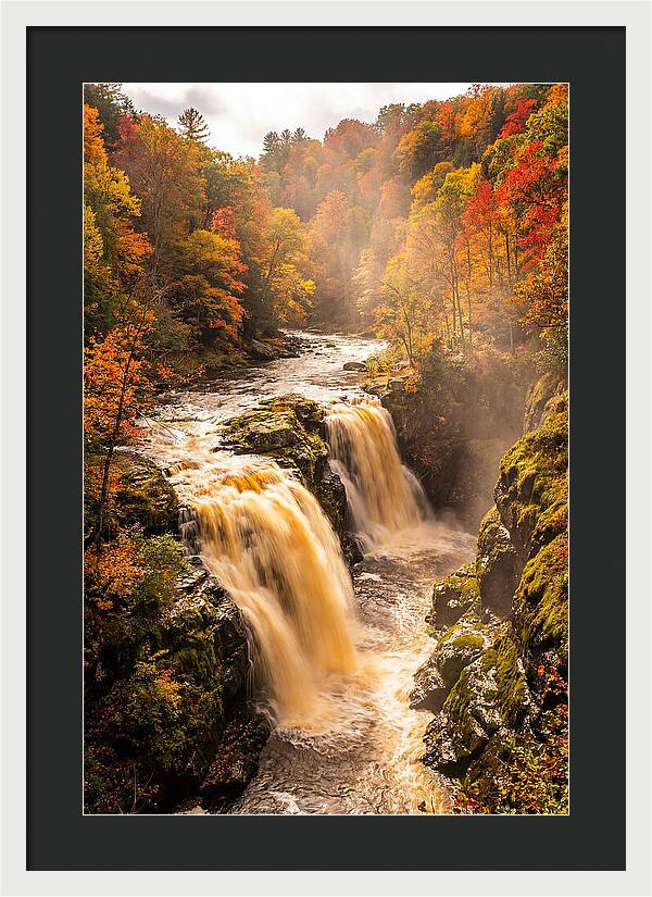 Tranquil Cascade Reflections