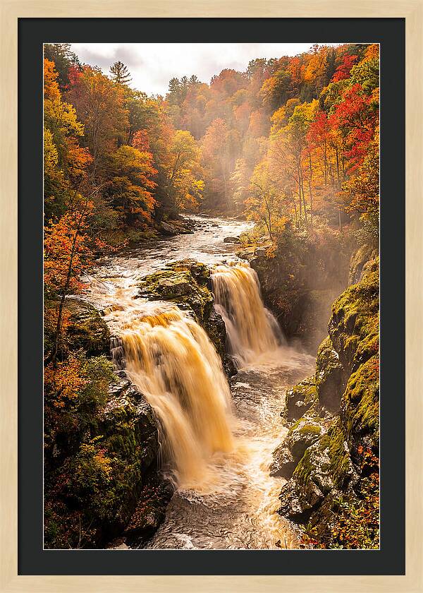 Tranquil Cascade Reflections