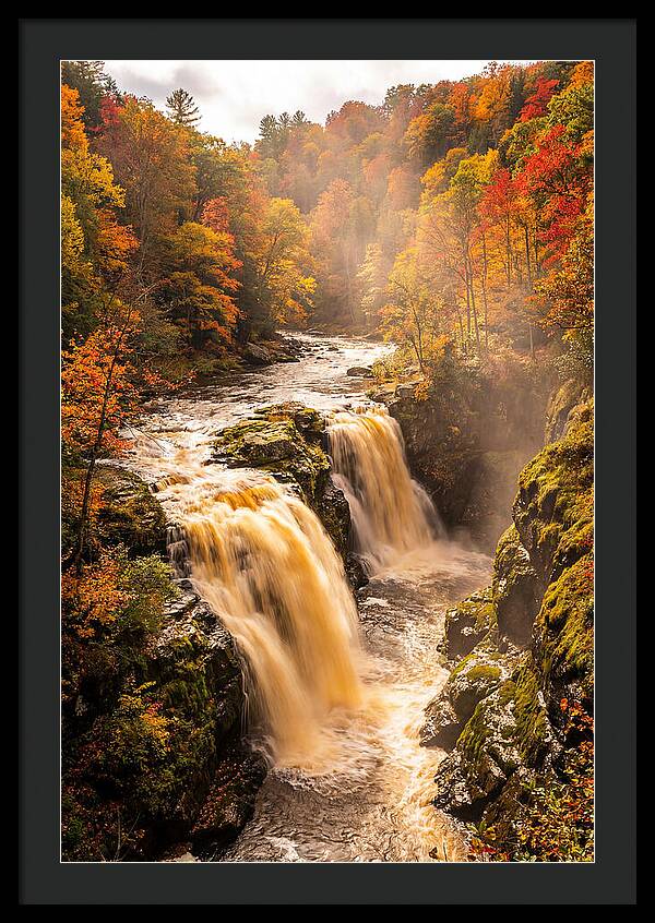 Tranquil Cascade Reflections