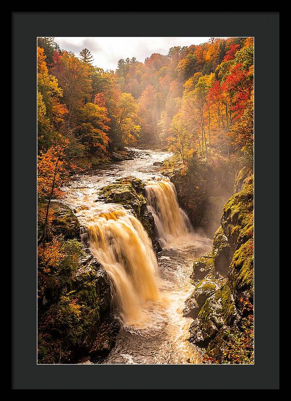 Tranquil Cascade Reflections