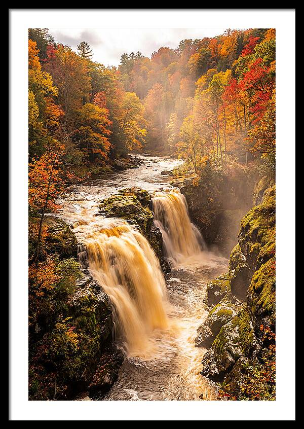 Tranquil Cascade Reflections
