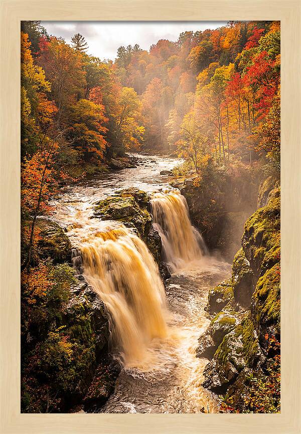 Tranquil Cascade Reflections