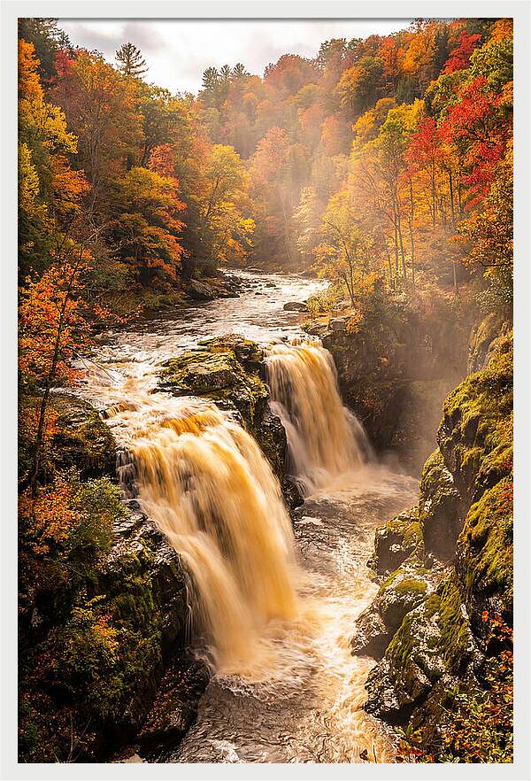Tranquil Cascade Reflections