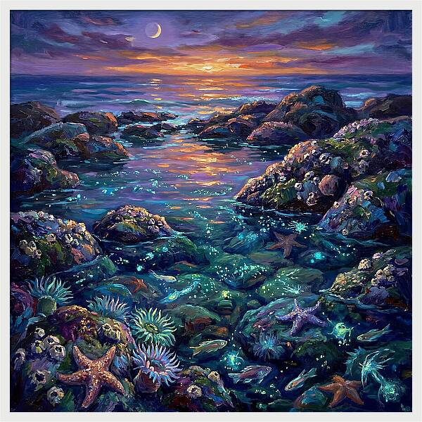 Tranquil Coastal Reflections
