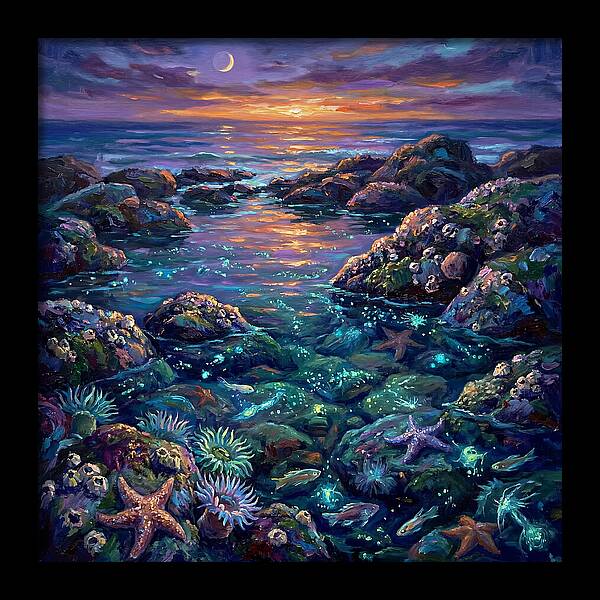 Tranquil Coastal Reflections