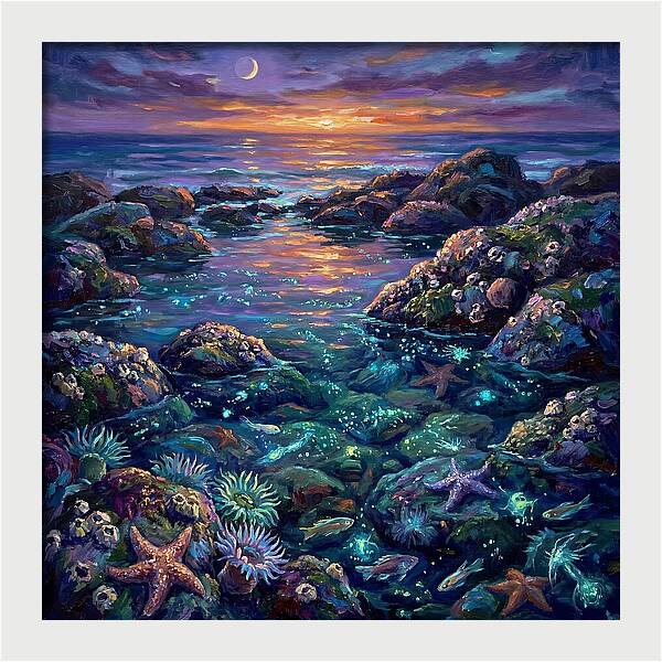 Tranquil Coastal Reflections