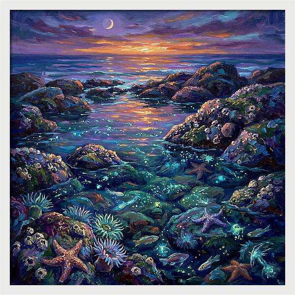 Tranquil Coastal Reflections