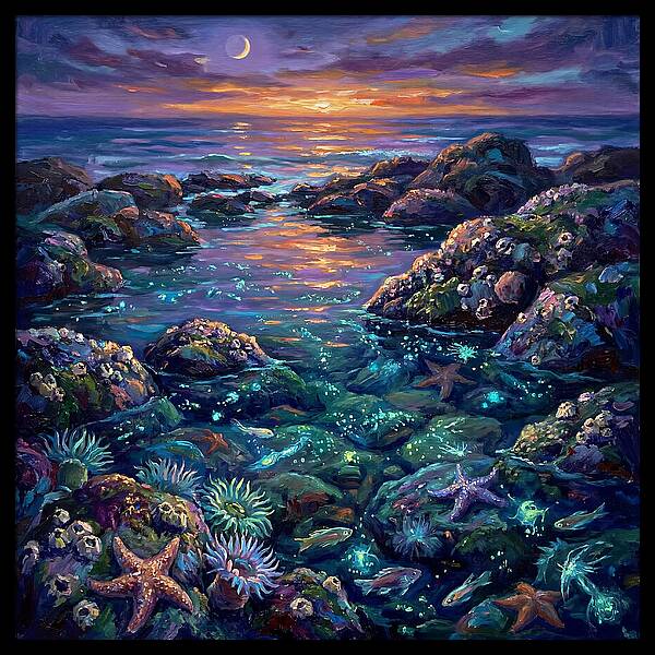 Tranquil Coastal Reflections