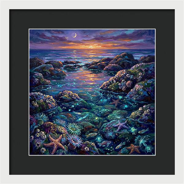 Tranquil Coastal Reflections