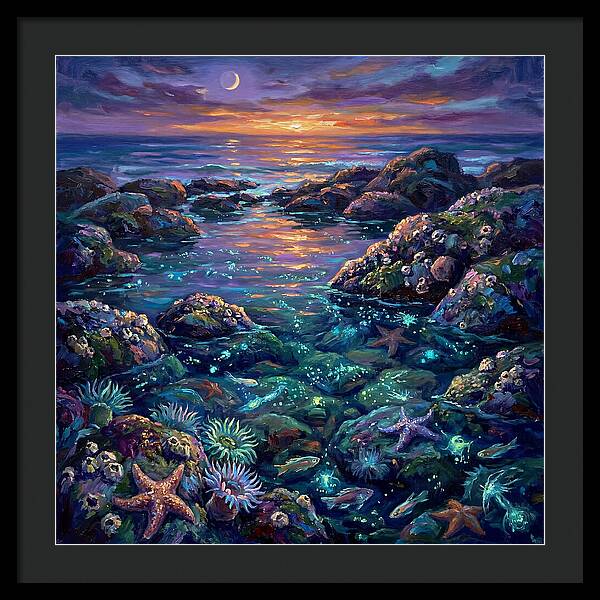 Tranquil Coastal Reflections