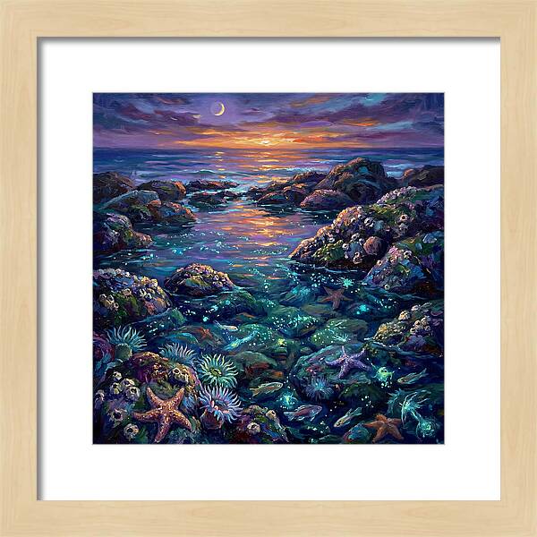Tranquil Coastal Reflections