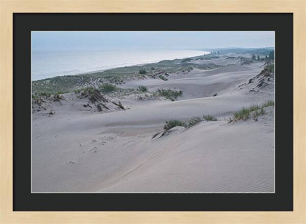 Tranquil Dawn At Indiana Dunes