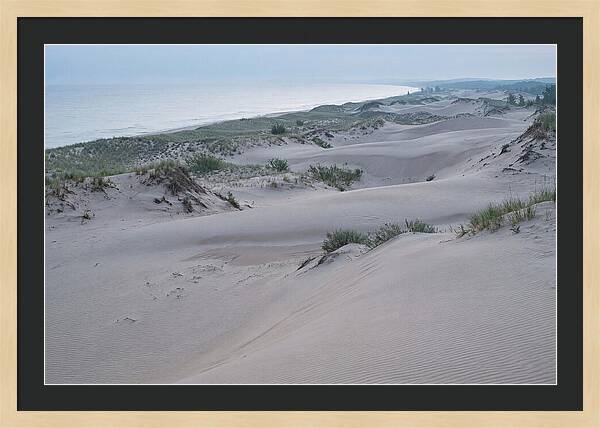 Tranquil Dawn At Indiana Dunes