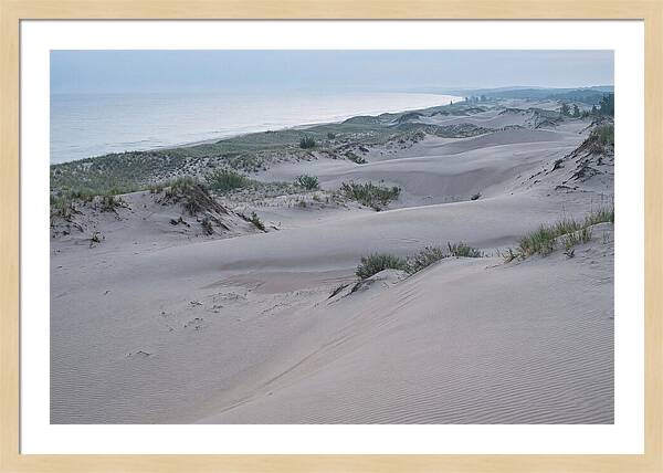 Tranquil Dawn At Indiana Dunes