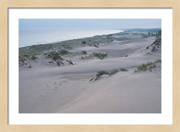 Tranquil Dawn At Indiana Dunes