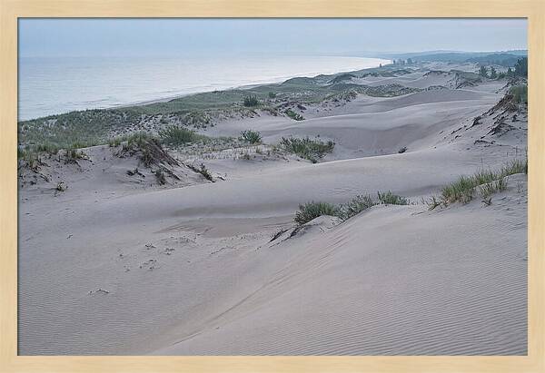 Tranquil Dawn At Indiana Dunes