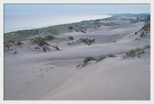 Tranquil Dawn At Indiana Dunes