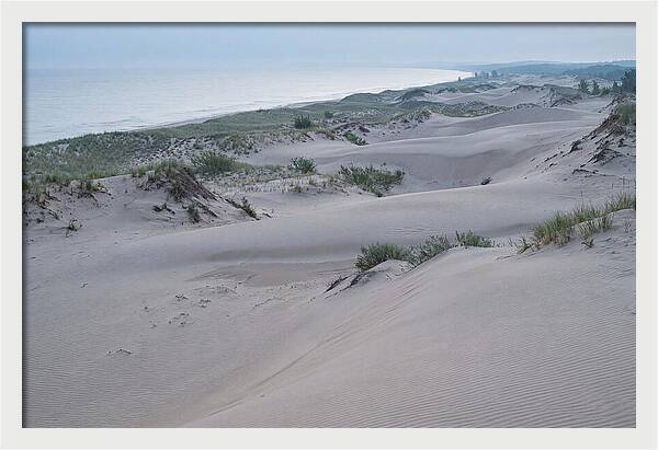 Tranquil Dawn At Indiana Dunes